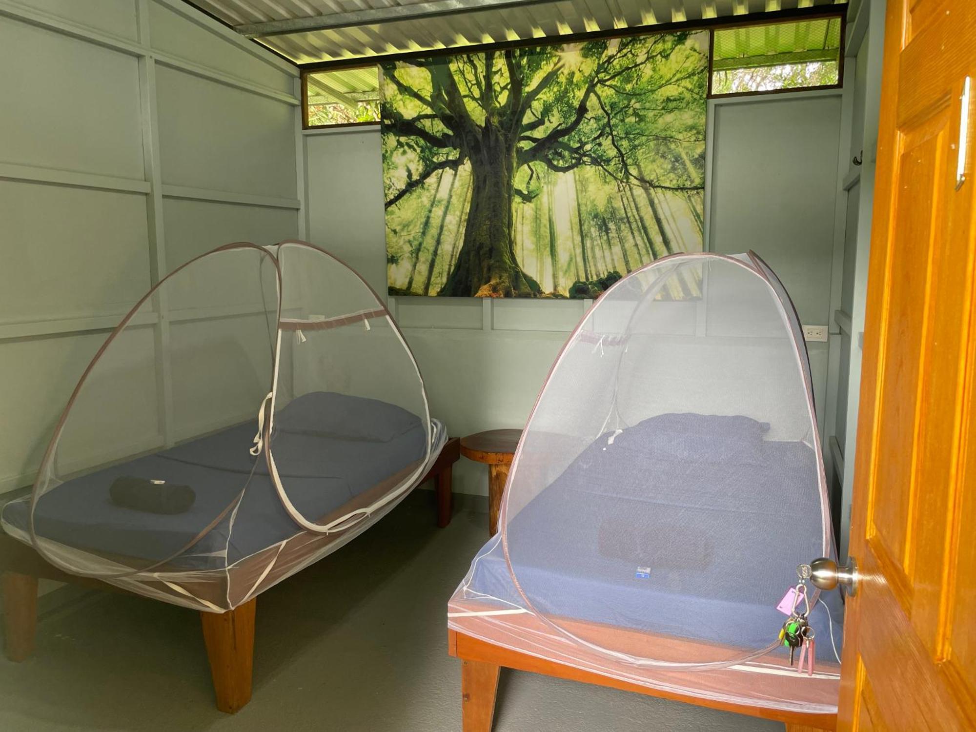 Yejos Jungle Lodge Dos Brazos Extérieur photo